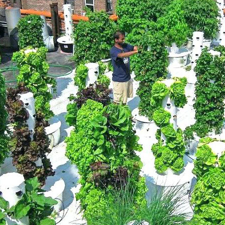 tower gardening for gardens