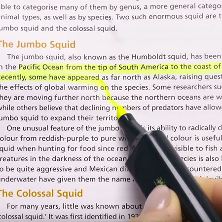 8 Internet Hacks that actually Work or Fail!