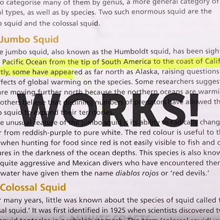 8 Internet Hacks that actually Work or Fail!