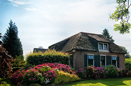 How to Incorporate Trees into Your Landscape Design