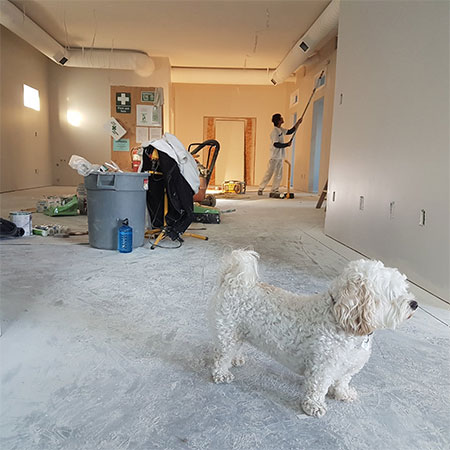 funding a home renovation