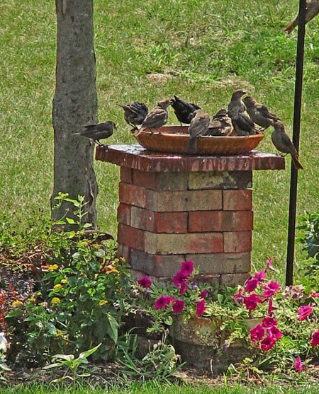 uses for leftover brick to make bird bath