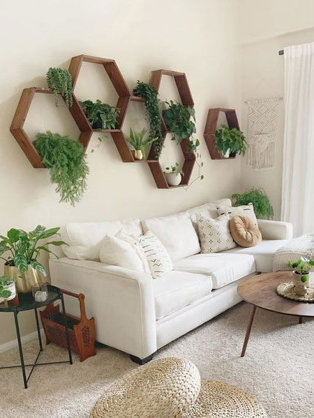 plants for feature wall