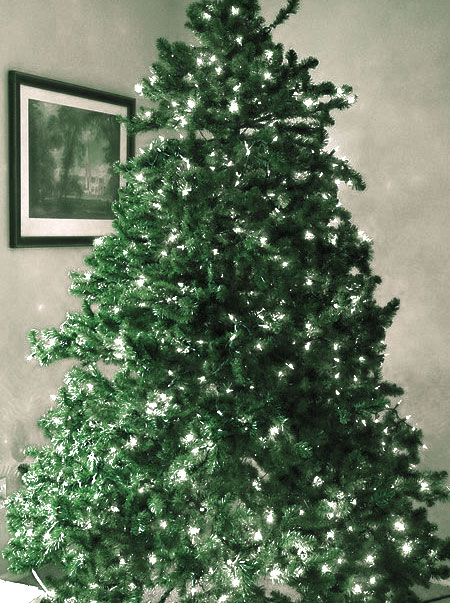 add christmas lights to christmas tree