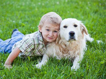 Artificial greenery or grass looks real