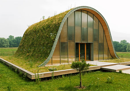 Artificial greenery or grass looks real