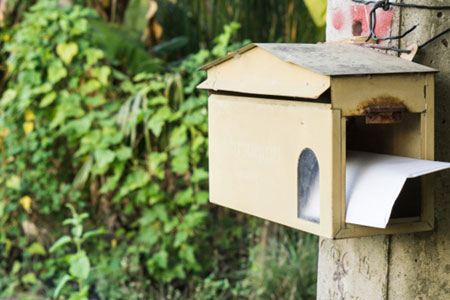 essential garden elements