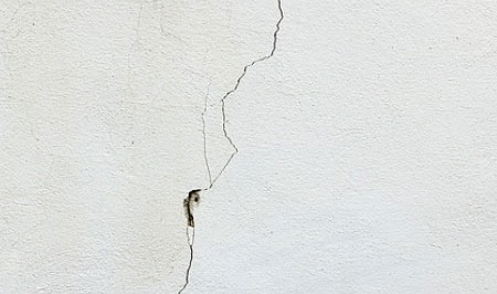 Seal or fix any holes and gaps around your home