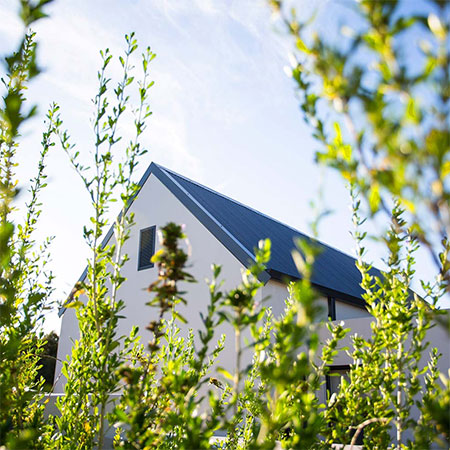 Building A Home with Nature