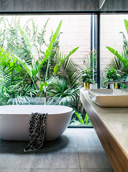 Create an Inner City Oasis