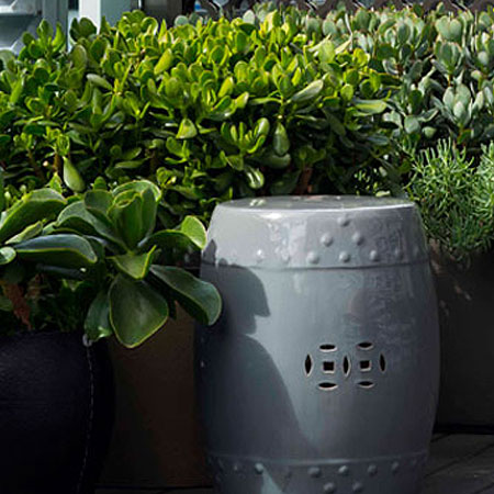Create an Inner City Oasis