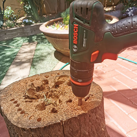 bosch advanced impact driver to drill holes in tree stump