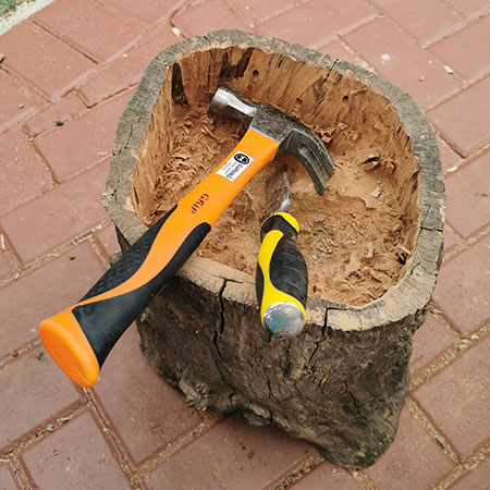 hammer and wood chisel to remove stump material