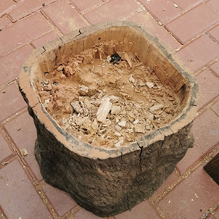 Finished tree stump planter'
