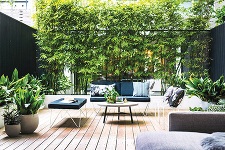 landscape inner city apartment