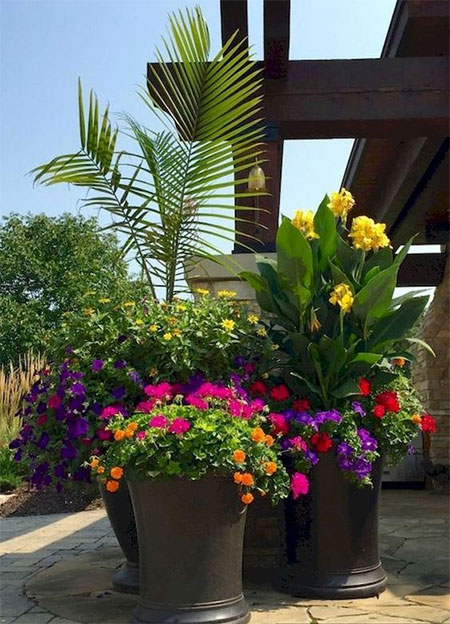 tips for container gardening