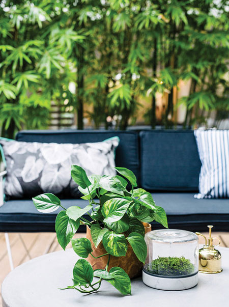 how to patio inner city oasis