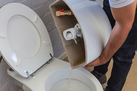 replace single flush with dual flush