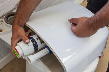 insert new dual flush mechanism