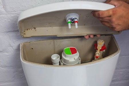 how to install dual flush mechansim