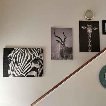 Create a Gallery Wall - Even in a Rented Home!