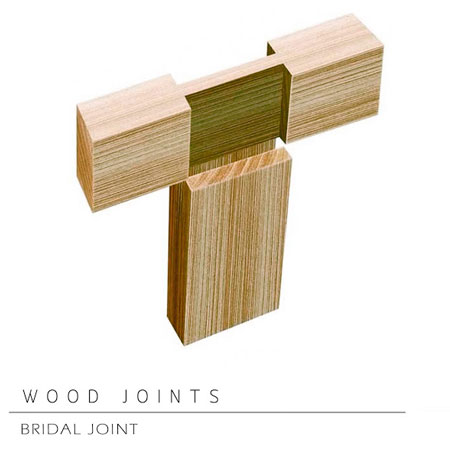 what is the strongest joint