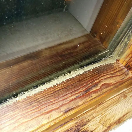 problems with wood window frames