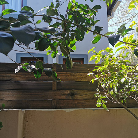 no more nosey neighbours with increased fence height