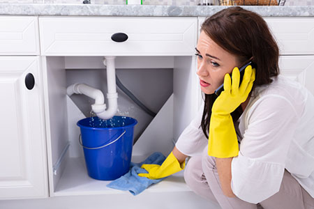 Having the skills to assess and fix plumbing problems will save you money on costly repairs.
