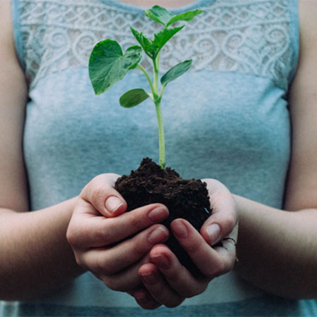 The Most Efficient Home Energy Conservation Tips
