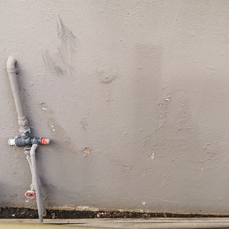 cracks and damp on exterior walls