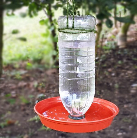 plastic bottle bird water feeder