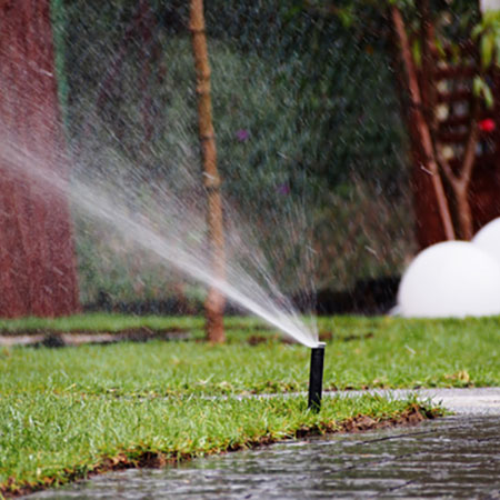 water wise garden irrigation