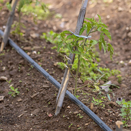 garden irrigation system for vegetables