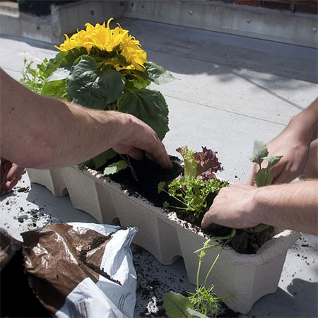 The Significance Of Remo Nutrients As Hydroponics Nutrients