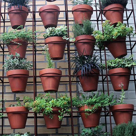 The Significance Of Remo Nutrients As Hydroponics Nutrients