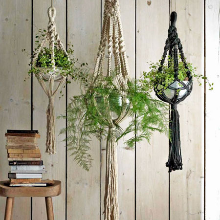 Bring Plants Indoors for Winter