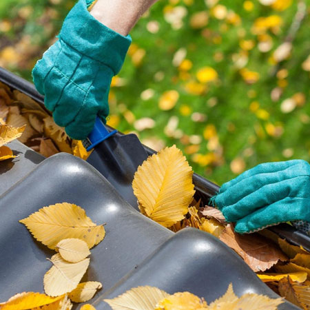  use your gloved-hands to remove loose leaves and a garden trowel to remove debris