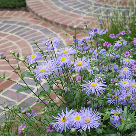 circular brick designs for gardens