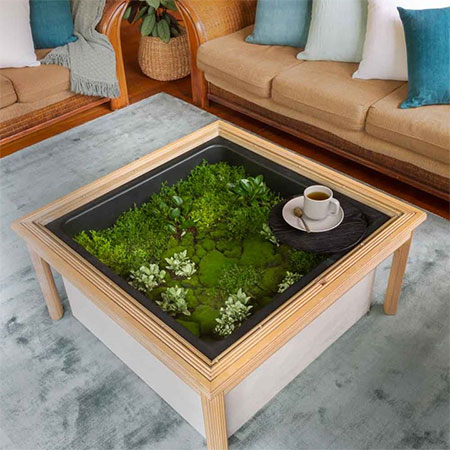 Bring The Outdoors Indoors With This Terrarium Coffee Table