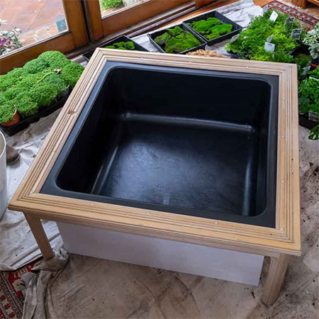 set up terrarium in coffee table