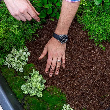 set up terrarium in coffee table