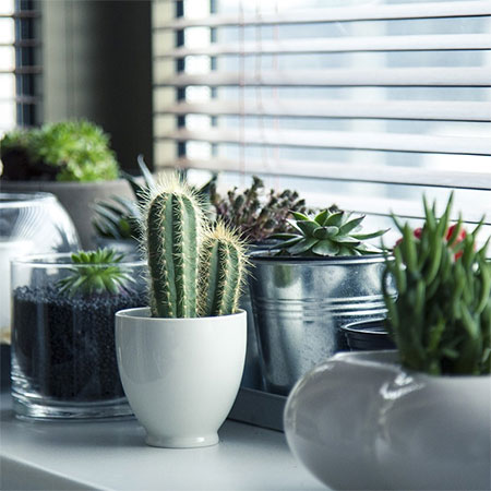 4 Decorating Tricks to Brighten Up Your Home