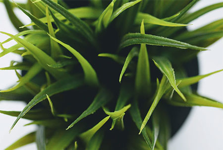 Cheap Bathroom Decoration Ideas