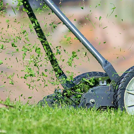 inorganic mulch for gardens