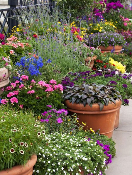 ADD COLOUR WITH CONTAINER GARDENS