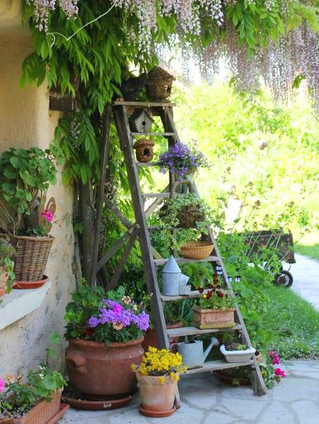 have an eyecatching feature in a small garden