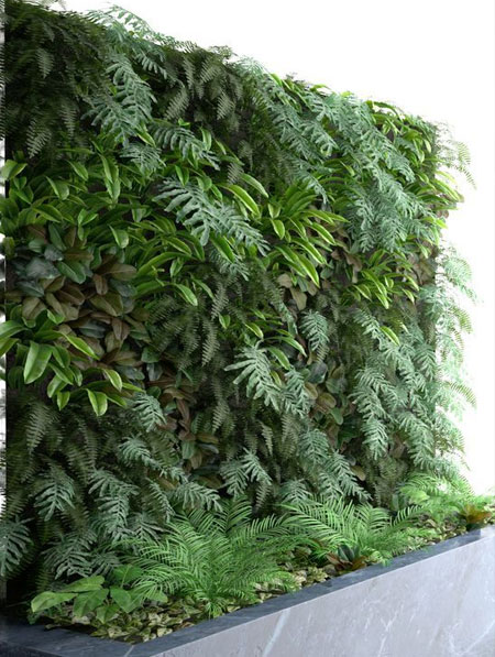use vertical garden to hide walls or fences