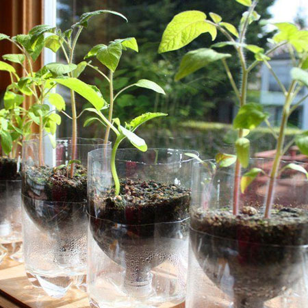 recycled plastic bottle self-watering containers