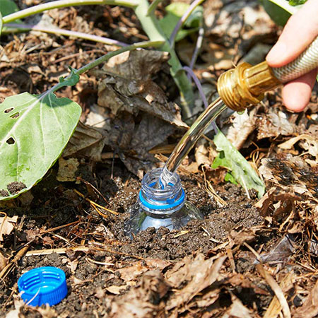 how to water thirsty plants